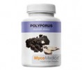 PYLORUS